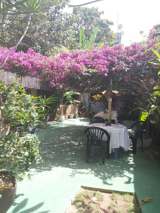 Pousada Terra Do Sol Pipa Praia de Pipa Extérieur photo